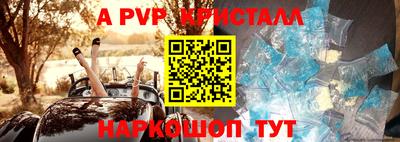 спиды Канаш